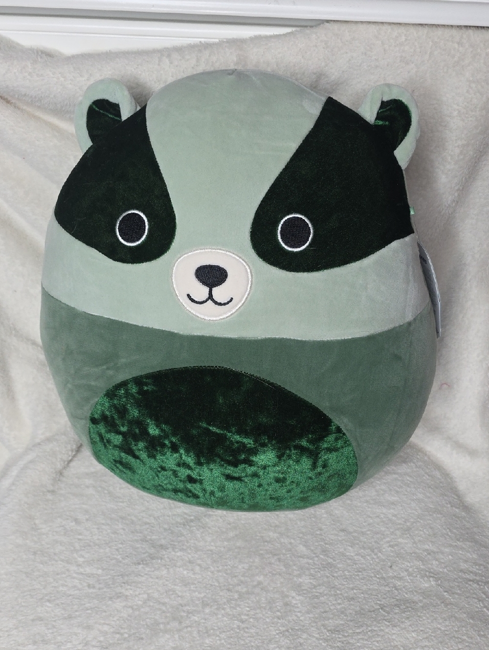 12" Beauregard The Green Raccoon Squishmallows 2024